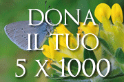 5 x 1000