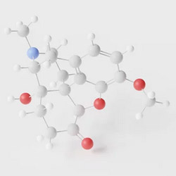 ossicodone